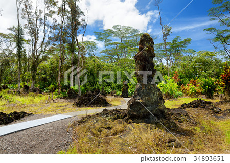 Lava molds of the tree trunks  34893651