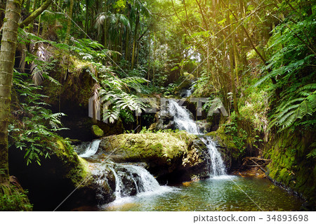 Onomea Falls located in Hawaii Tropical Botanical Garden on the Big Island of Hawaii 34893698