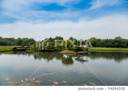 Okayama Early Summer Korakuen Pond One of Japan's Three Great Gardens Okayama Early Summer Korakuen Pond One of Japan's Three Great Gardens 34894208