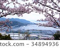 Seto Inland Sea and Cherry Seen from the Golden Mountain 34894936