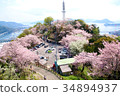 Cherry blossoms in full bloom in Hiroshima, Koganeyama 34894937