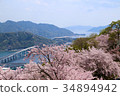 Cherry blossoms and the Seto Inland Sea seen from Koganeyama 34894942