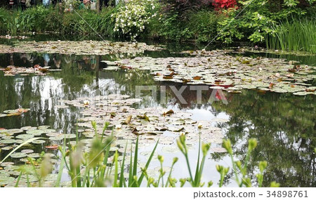 法國吉維尼:印象派畫家莫內的花園、睡蓮 法國吉維尼:印象派畫家莫內的花園、睡蓮 34898761