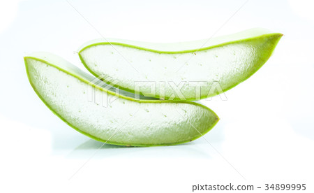 aloe vera fresh leaf isolated aloe vera fresh leaf isolated 34899995