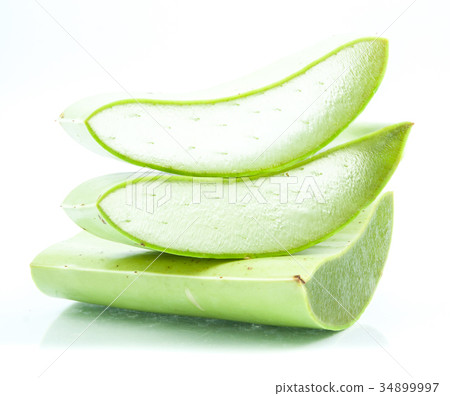 aloe vera fresh leaf isolated aloe vera fresh leaf isolated 34899997