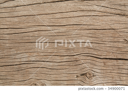 texture of bark wood use as atural texture of bark wood use as atural 34900071