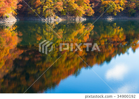 Lake Okutama Lake Okutama 34900192