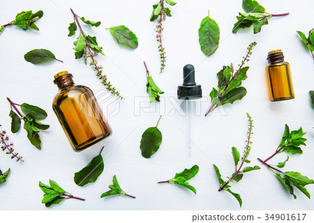 Holy Basil Essential Oil in a Glass Bottle Stock Photo 34901617