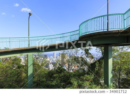 科比·維納斯橋 34901712