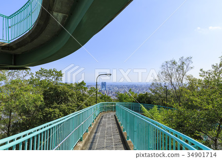 Kobe · Venus Bridge 34901714