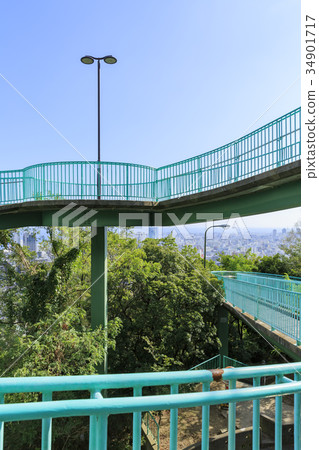 Kobe · Venus Bridge 34901717