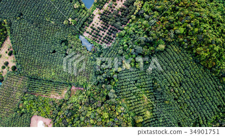 Aerial landscape, wild forest in Thailand Aerial landscape, wild forest in Thailand 34901751