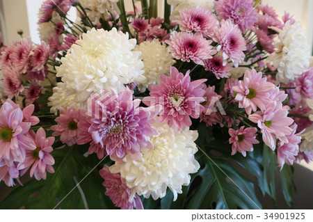 漂亮的花盆媽媽和噴霧媽媽 漂亮的花盆媽媽和噴霧媽媽 34901925