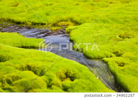Iceland Small River Stream with green moss 34902287