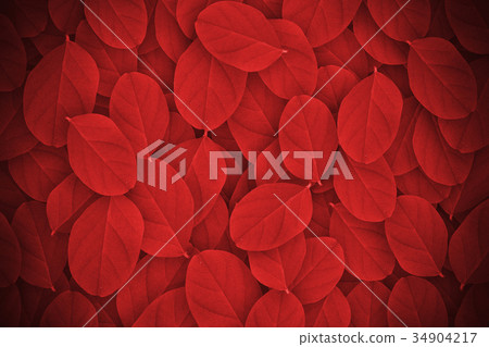 Colorful leaves background Colorful leaves background 34904217