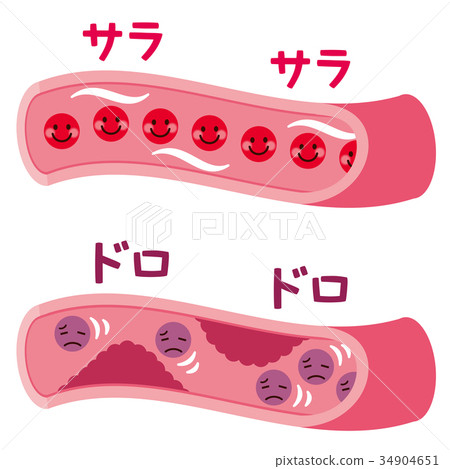 Blood vessel cross section blood flow medical 34904651