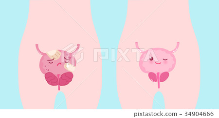 cute cartoon prostate 34904666