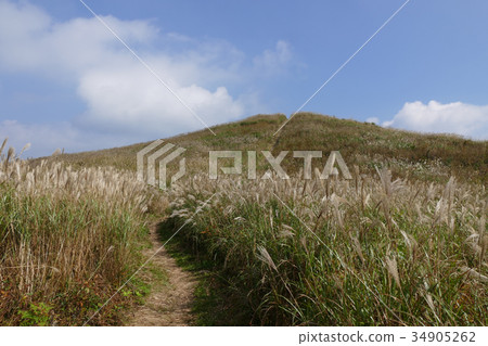 Autumn raw stone plateau where Suki grows thick Autumn raw stone plateau where Suki grows thick 34905262