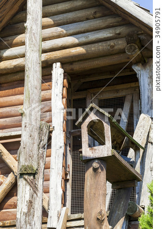 wood pigeon, close-up wood pigeon, close-up 34905791