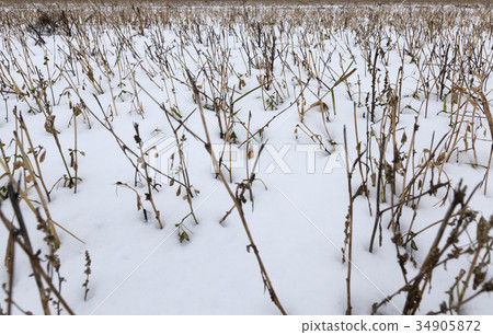 Snow drifts in winter 34905872