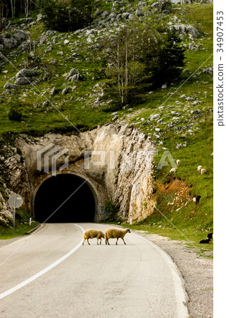 The tunnel on empty road in Montenegro 34907453