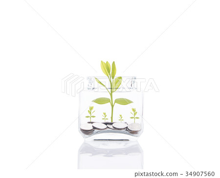 money coin stack growing tree on piggy bank. 34907560