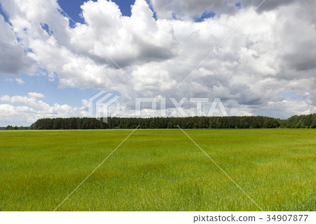 green field and blue sky green field and blue sky 34907877