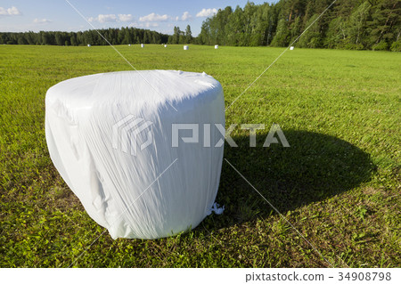 Plastic stack 34908798