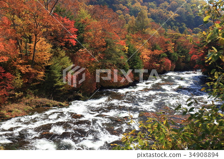 Yukawa's autumn leaves 34908894