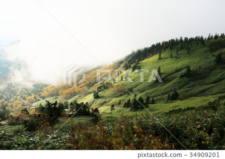 澀谷（秋晨）的吉永平濕地的景色 34909201