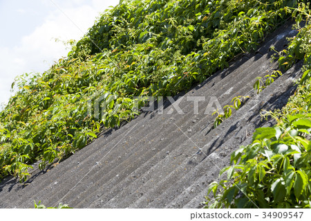 Old wooden house Old wooden house 34909547