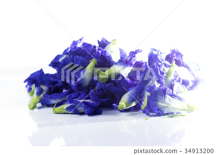 butterfly pea flower 34913200