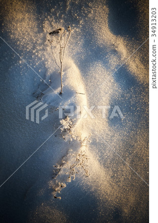 After snowfall After snowfall 34913203