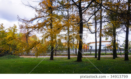 Autumn season Autumn season 34913799