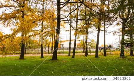 Autumn season Autumn season 34913801