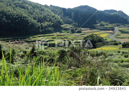 Iwashita的Tanada Iwashita的Tanada 34913843