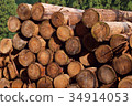 Log of sawmills 34914053