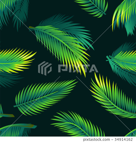 Tropical palm leaves - seamless realistic modern 34914162