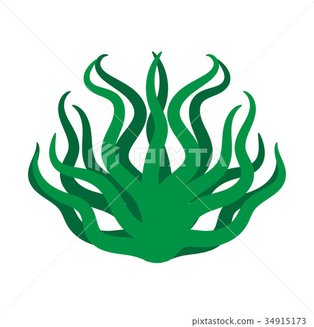 Green algae isolated illustration Green algae isolated illustration 34915173