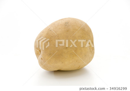 Potato (Toya) 34916299