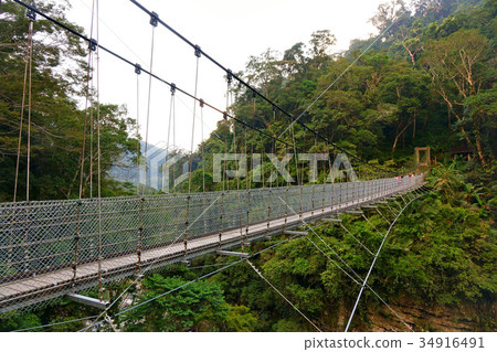 Suspension bridge in Nanzhuang shenxian valley Suspension bridge in Nanzhuang shenxian valley 34916491