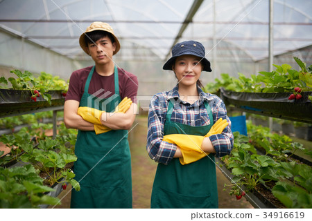 Confident Farmers Posing for Photography Confident Farmers Posing for Photography 34916619