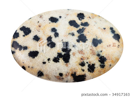 cabochon of Dalmatian Stone gemstone isolated cabochon of Dalmatian Stone gemstone isolated 34917163
