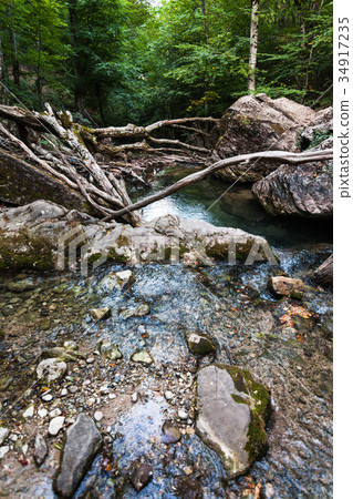pond because of fallen trees on Ulu-Uzen river 34917235