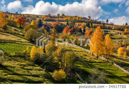 rural area on hillside in autumn rural area on hillside in autumn 34917788