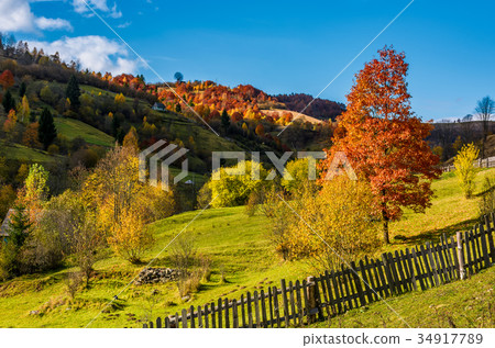deep autumn sunny day in mountainous rural are deep autumn sunny day in mountainous rural are 34917789