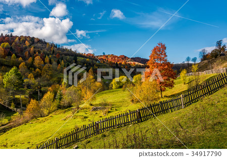 deep autumn sunny day in mountainous rural are deep autumn sunny day in mountainous rural are 34917790