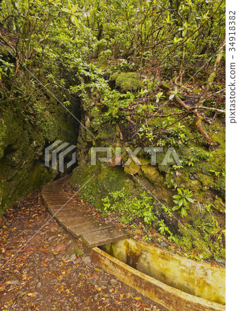 Levada on Madeira 34918382