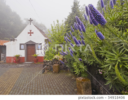 Ribeiro Frio 34918406