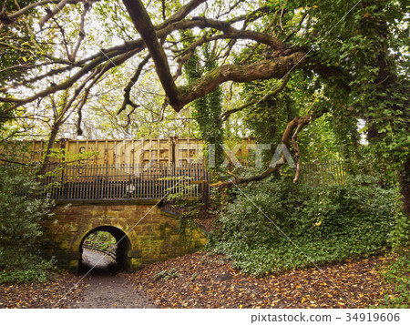 Water of Leith Walkway Water of Leith Walkway 34919606